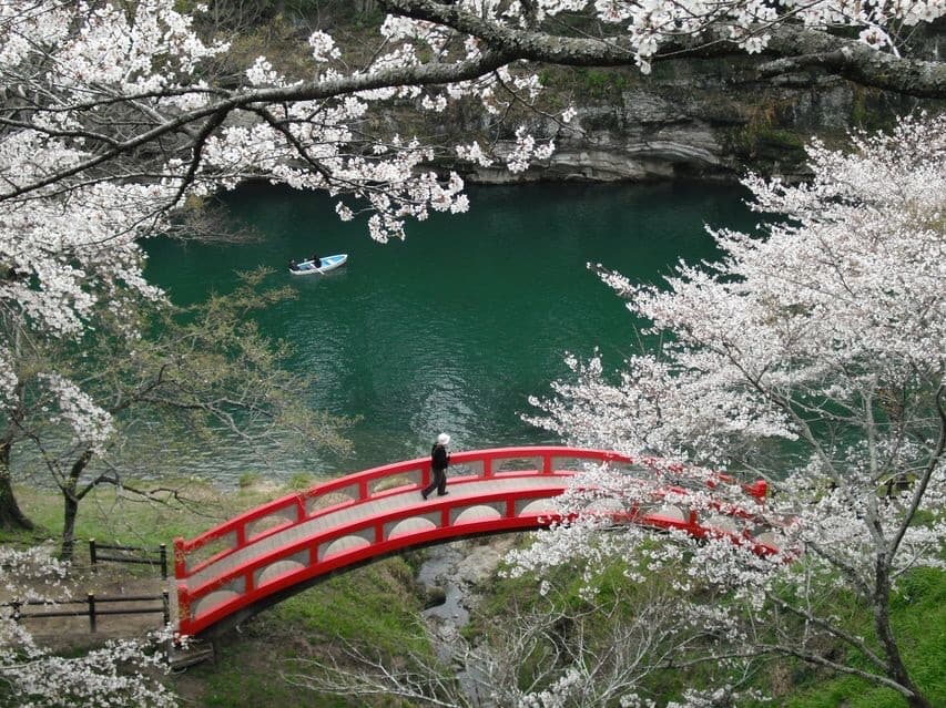 Sakurabuchi Park - Image 1