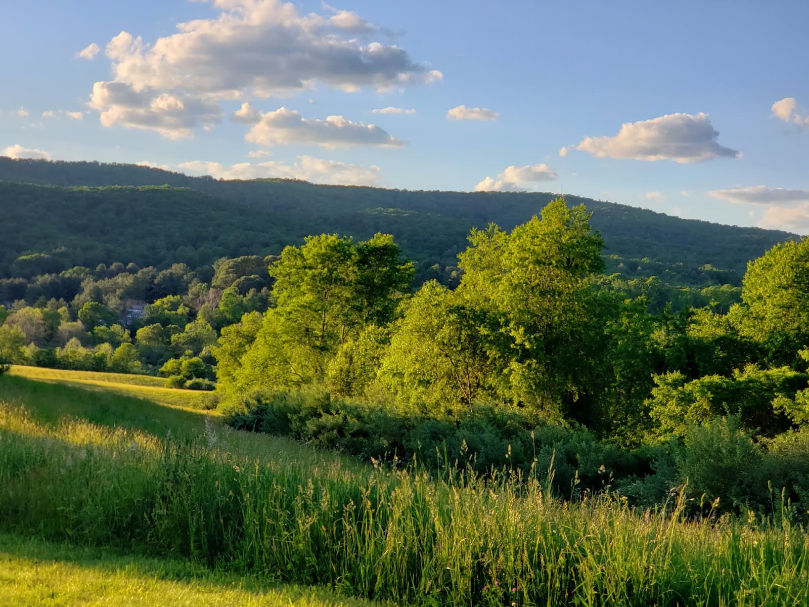 Heritage Community Park & Natural Area - Image 1