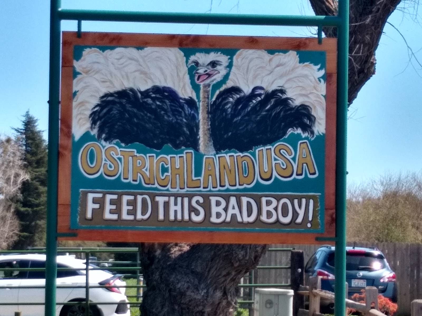 Gift Shop Treasures