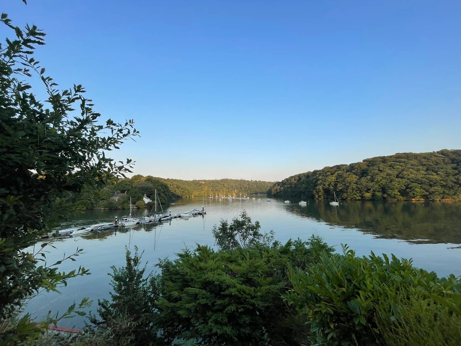 Magical Malpas PYO Farm