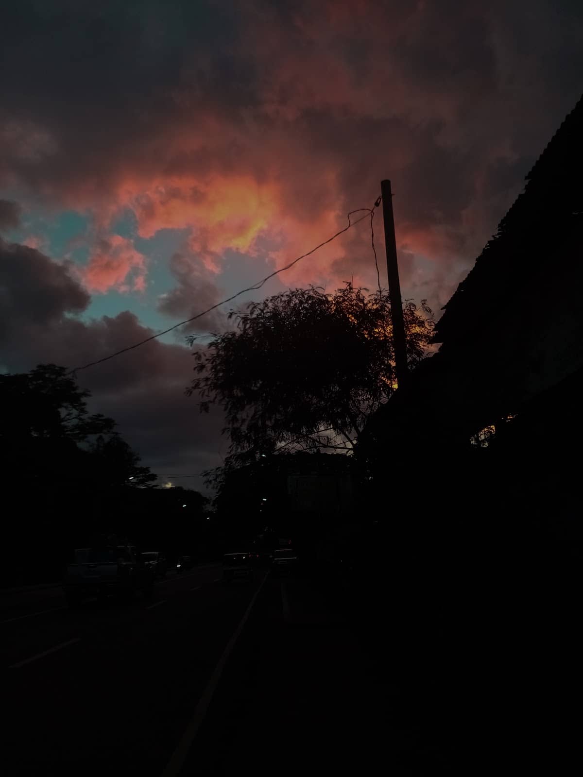 Food Trip Adventures