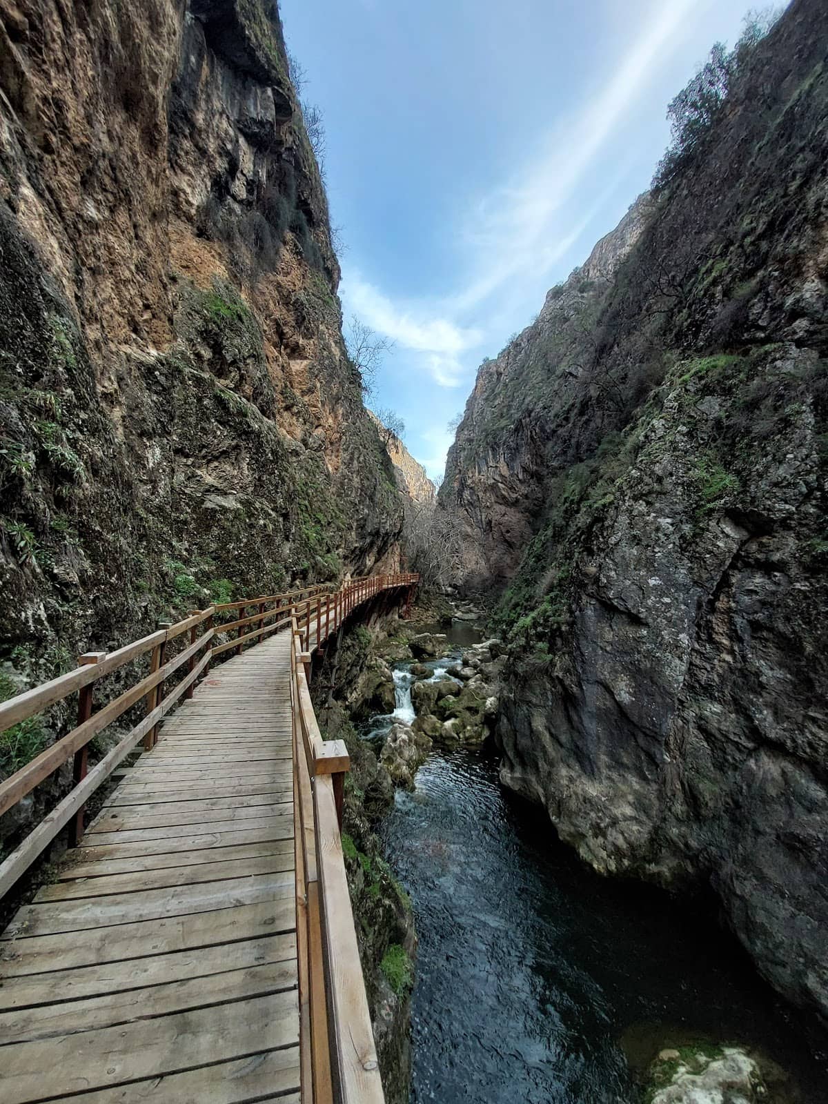 Vertical photo