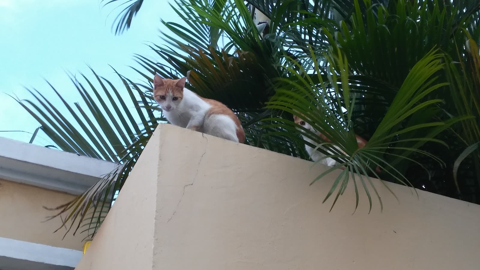 Villa Olga - Image 1