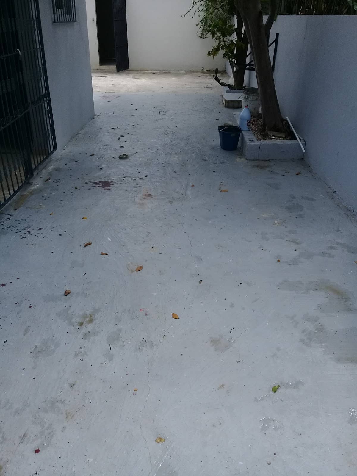 Vertical photo