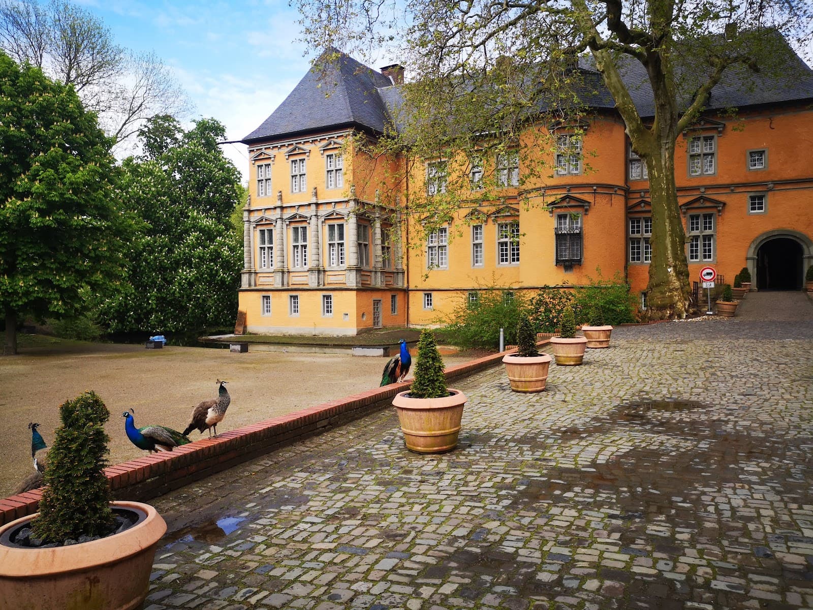 Schloss Rheydt - Image 1