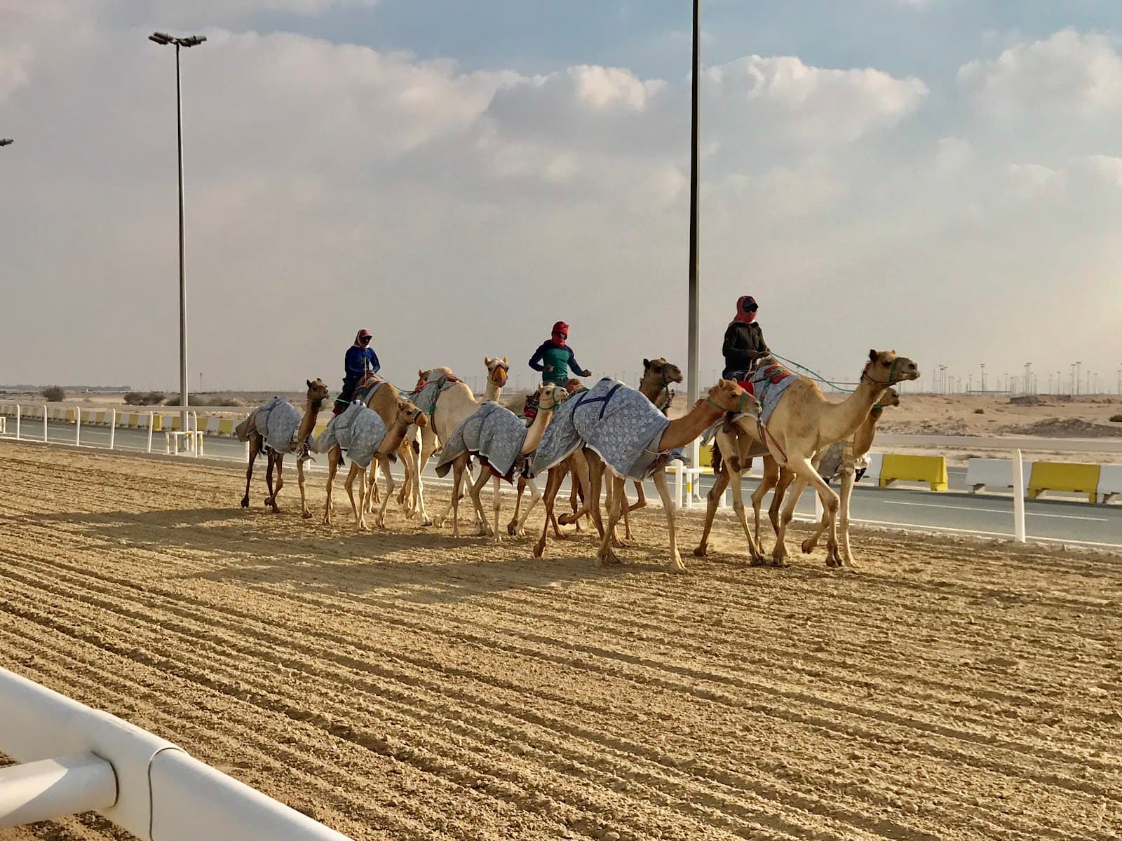 Al Shahaniya Camel Racetrack - Image 1
