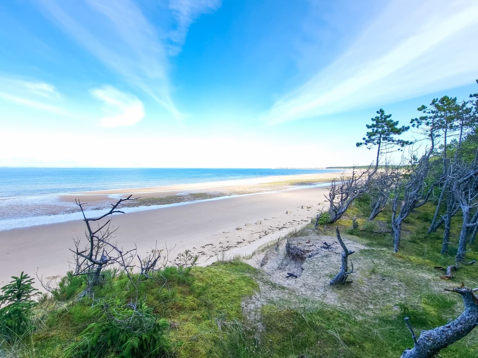 Roseisle Forest & Beach - Image 1