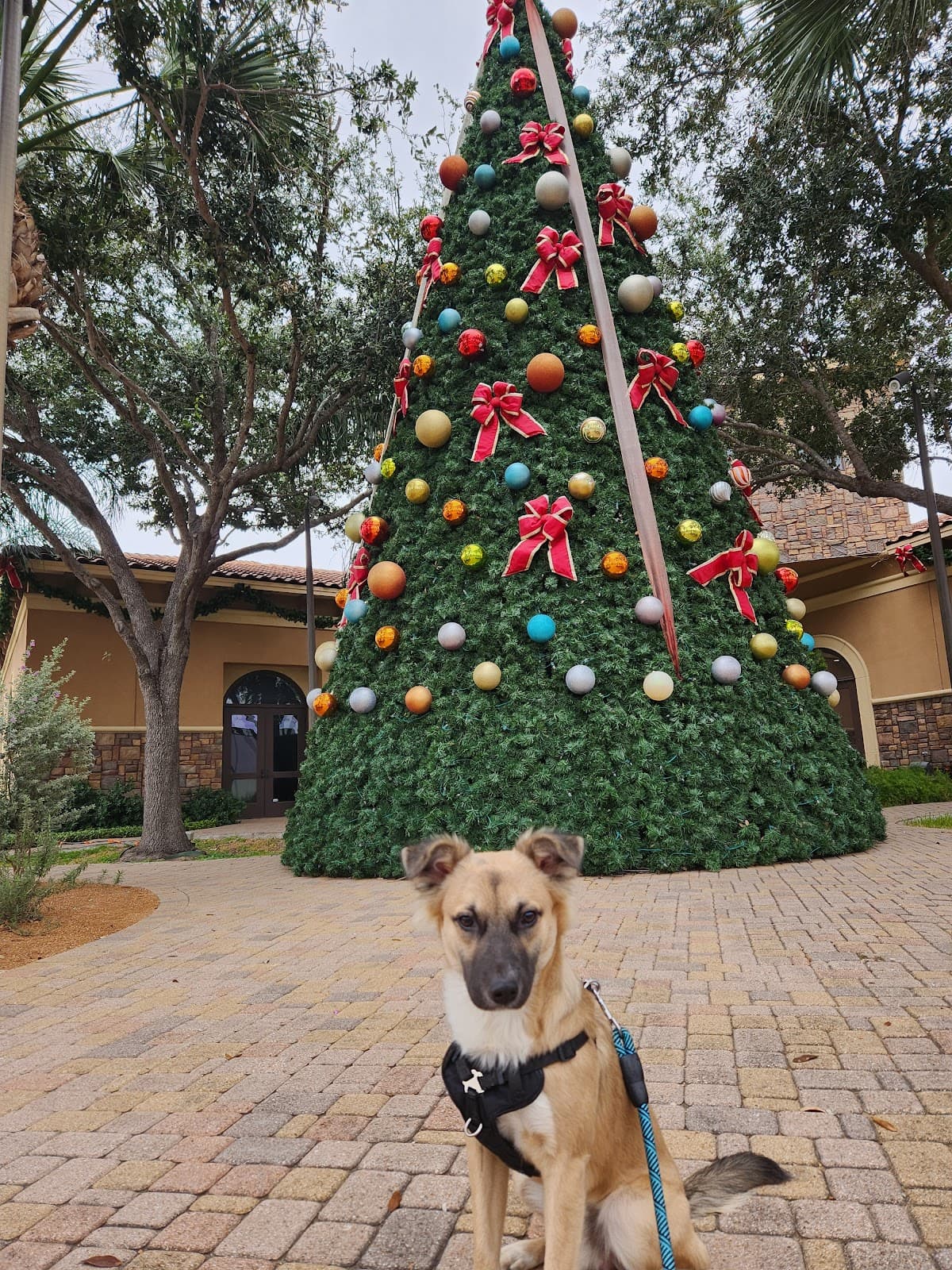 Art Village on Main - Image 1