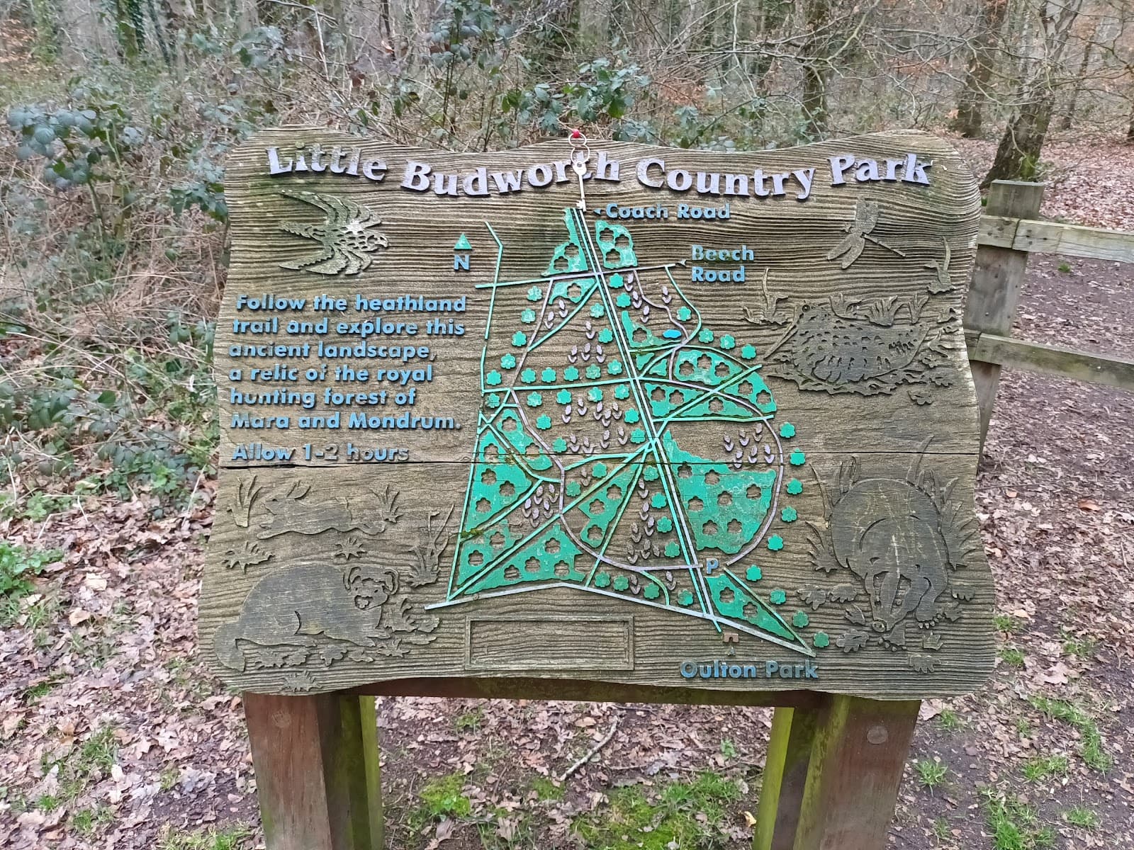 Little Budworth Country Park - Image 1