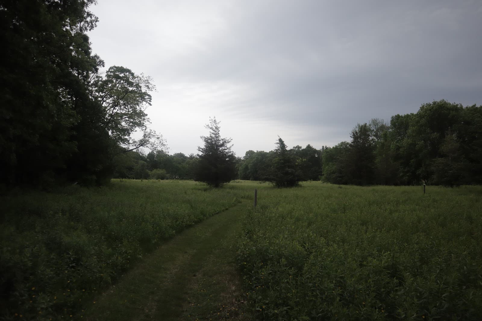 Birchwold Farm Conservation Area - Image 1