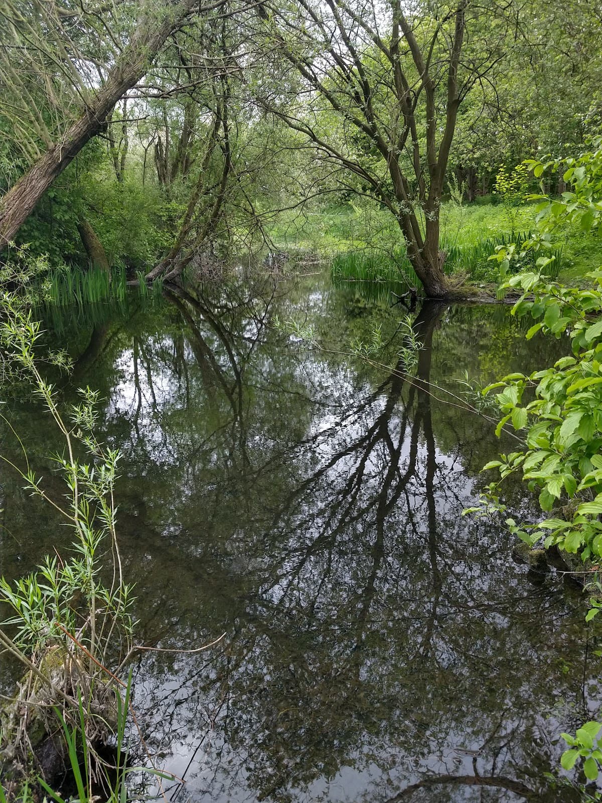 Gallows Hill Nature Area - Image 1