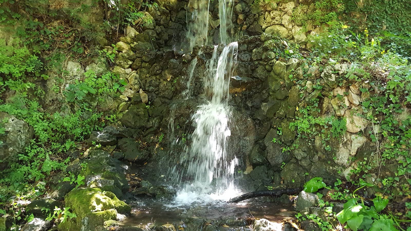 Freshwater Trout Farms