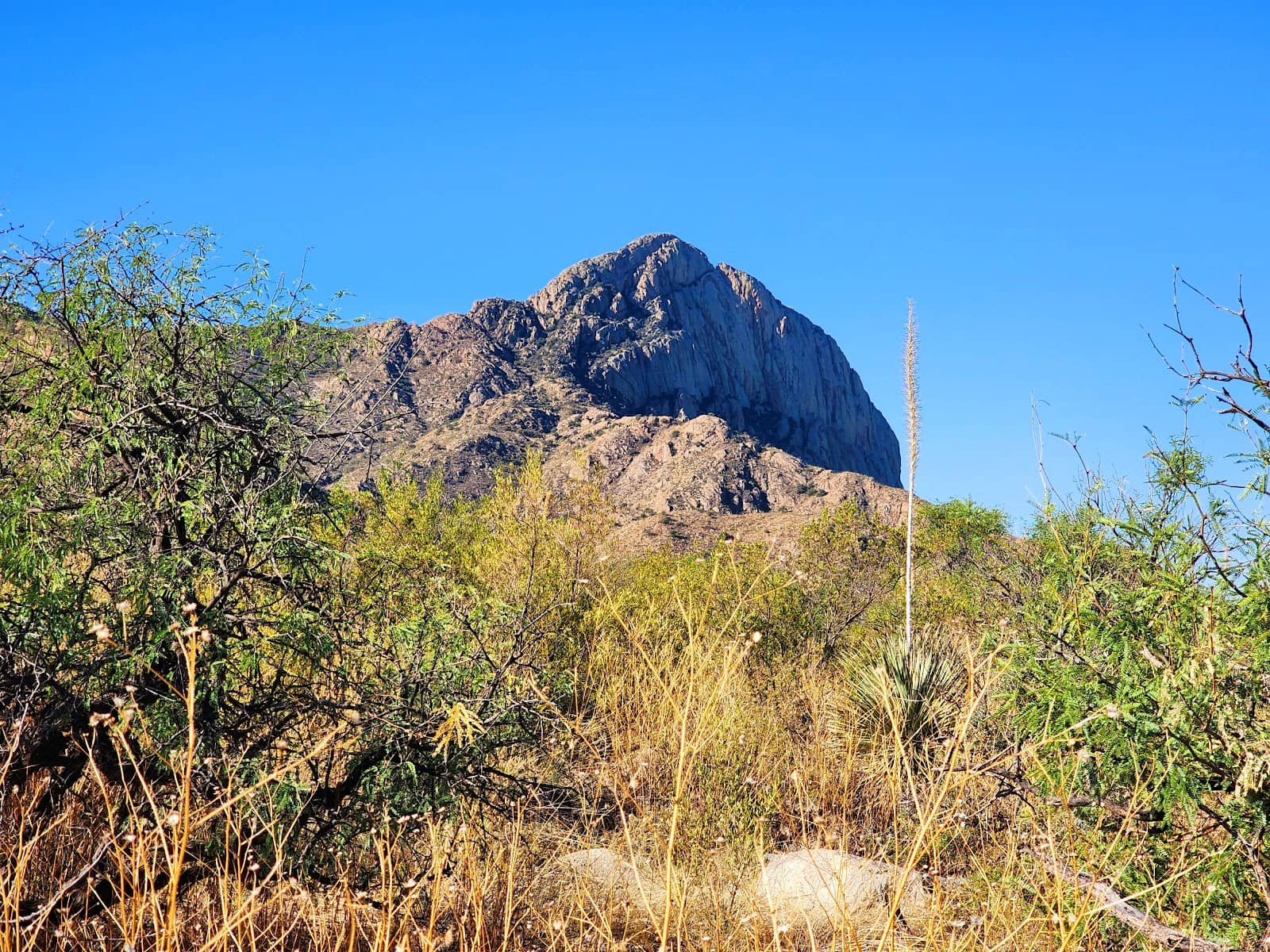 Vertical photo