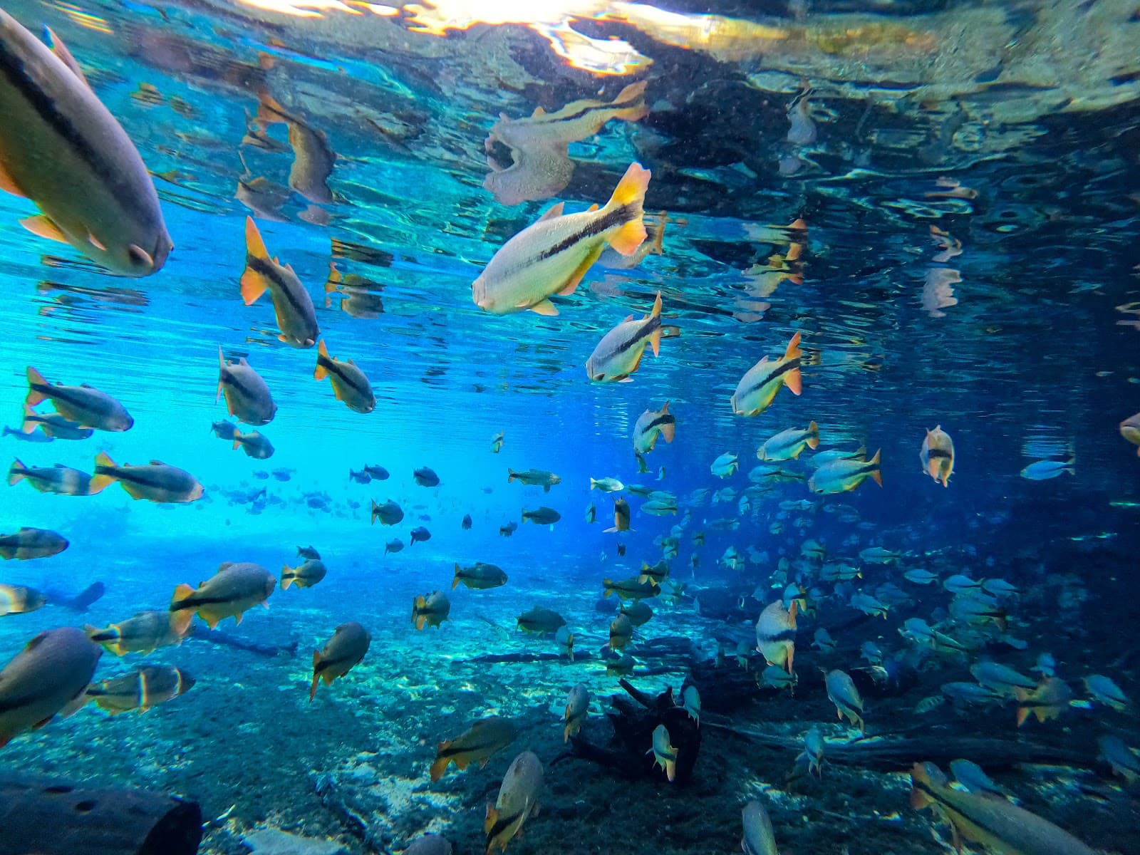 Rio da Prata Bonito - Image 1