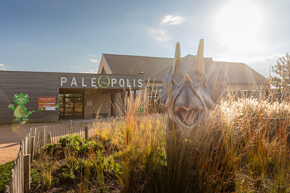 Paléopolis (Gannat) - Image 1