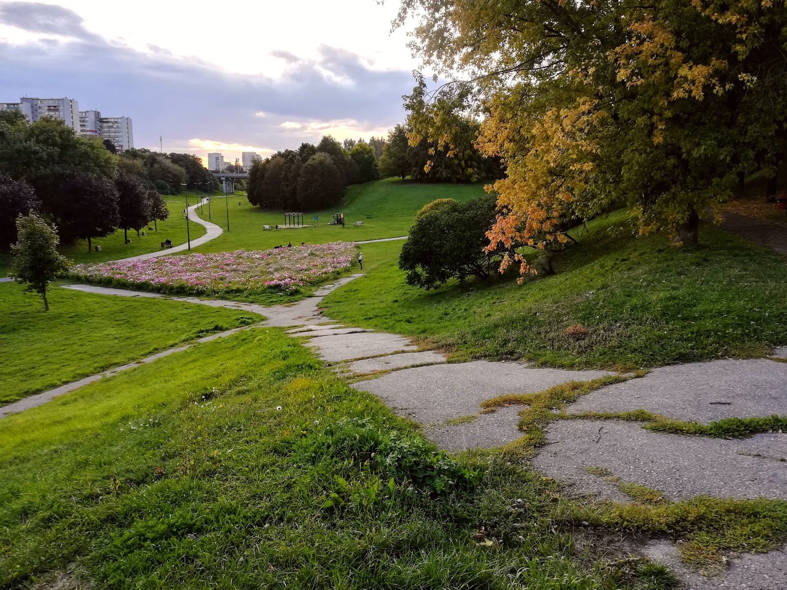 Rury Ravines (Wąwozy Rury) Lublin - Image 1
