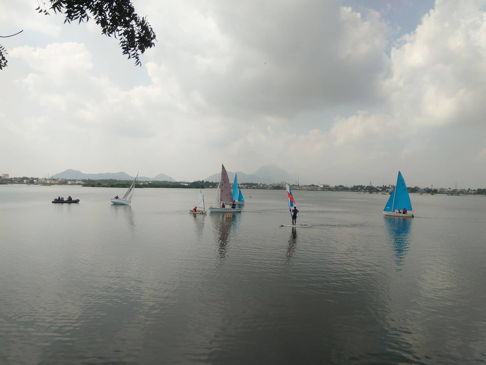Vertical photo