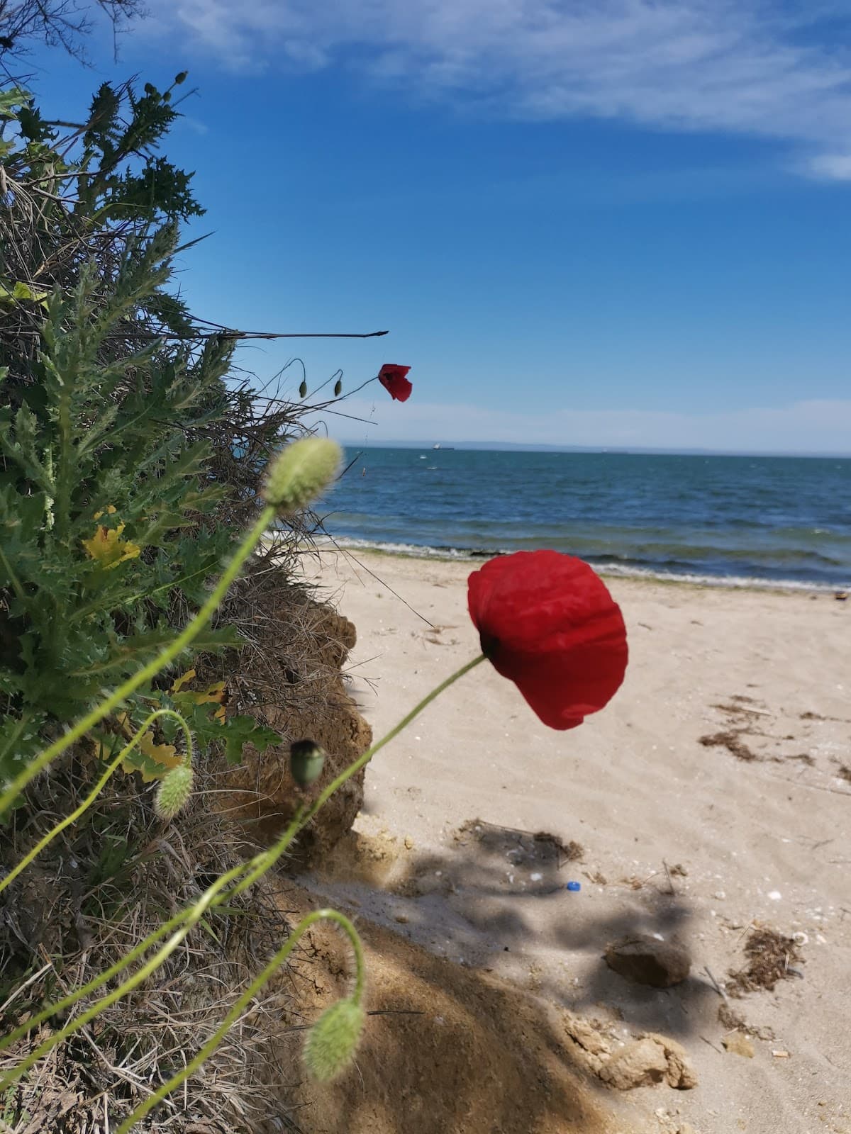 Kraimorie - Image 1