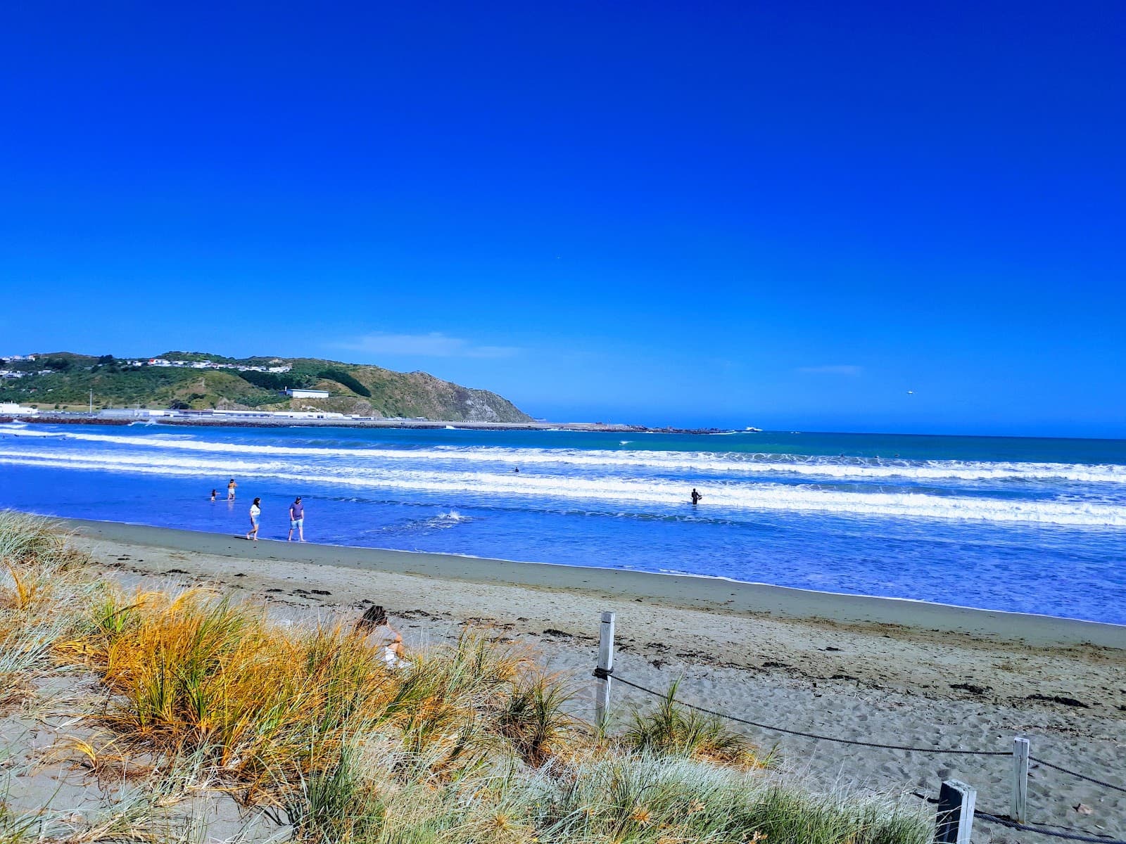 Lyall Bay Beach - Image 1