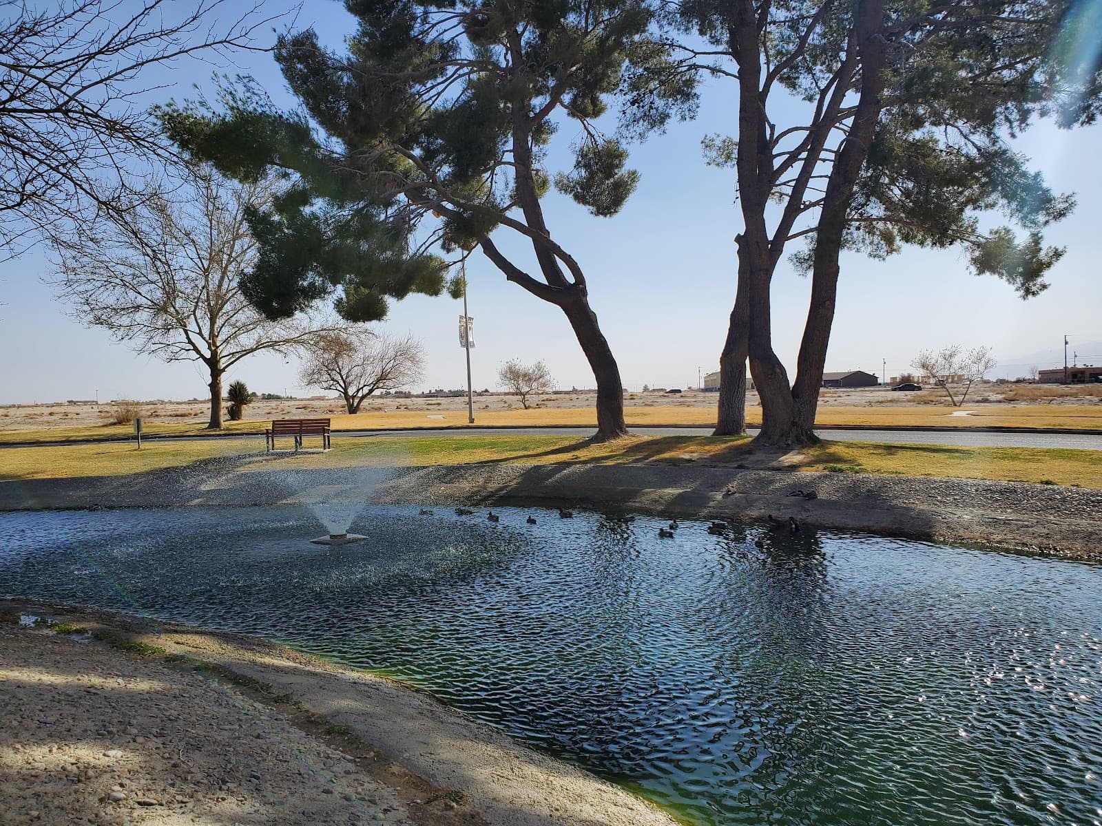 Calvada Eye - Image 1