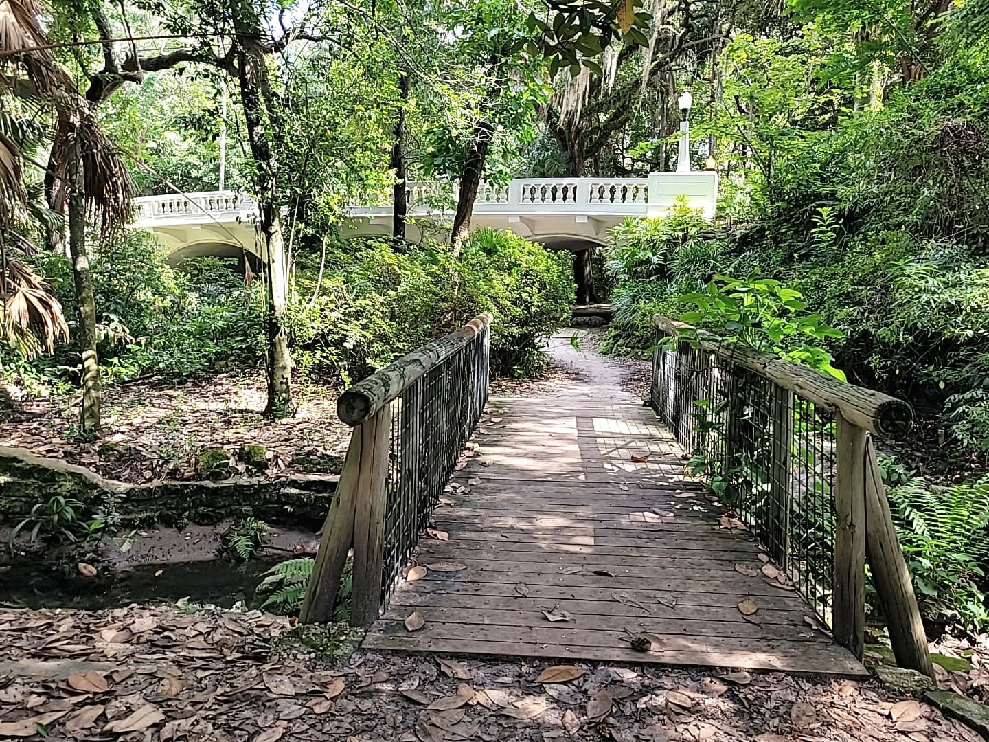 Dickson Azalea Park - Image 1