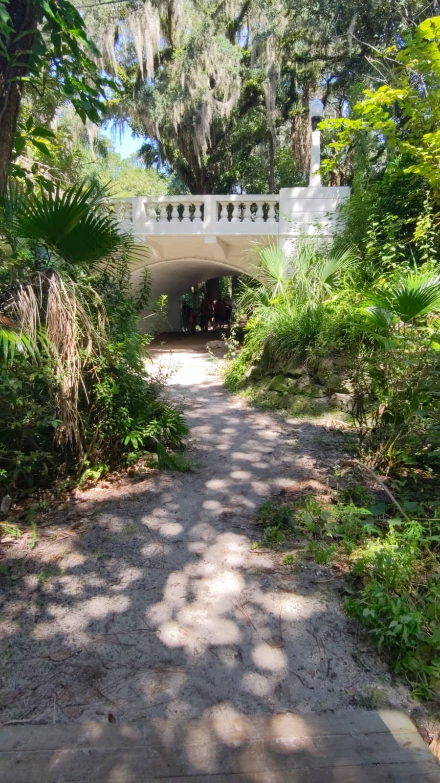 Vertical photo