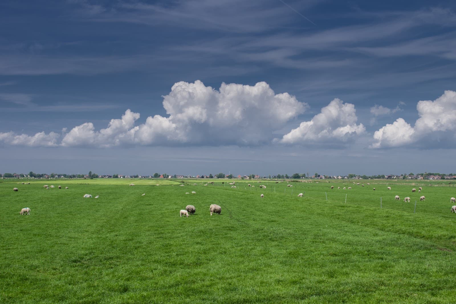 Waterlands - Image 1