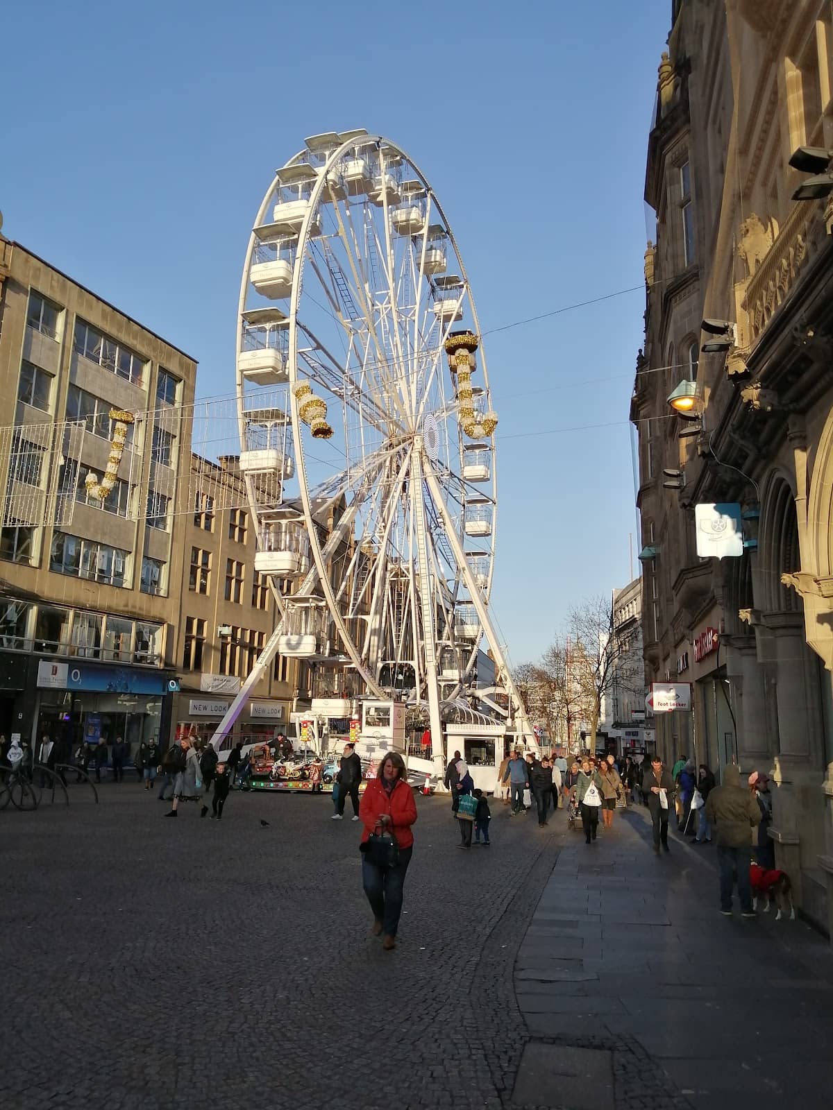 Vertical photo