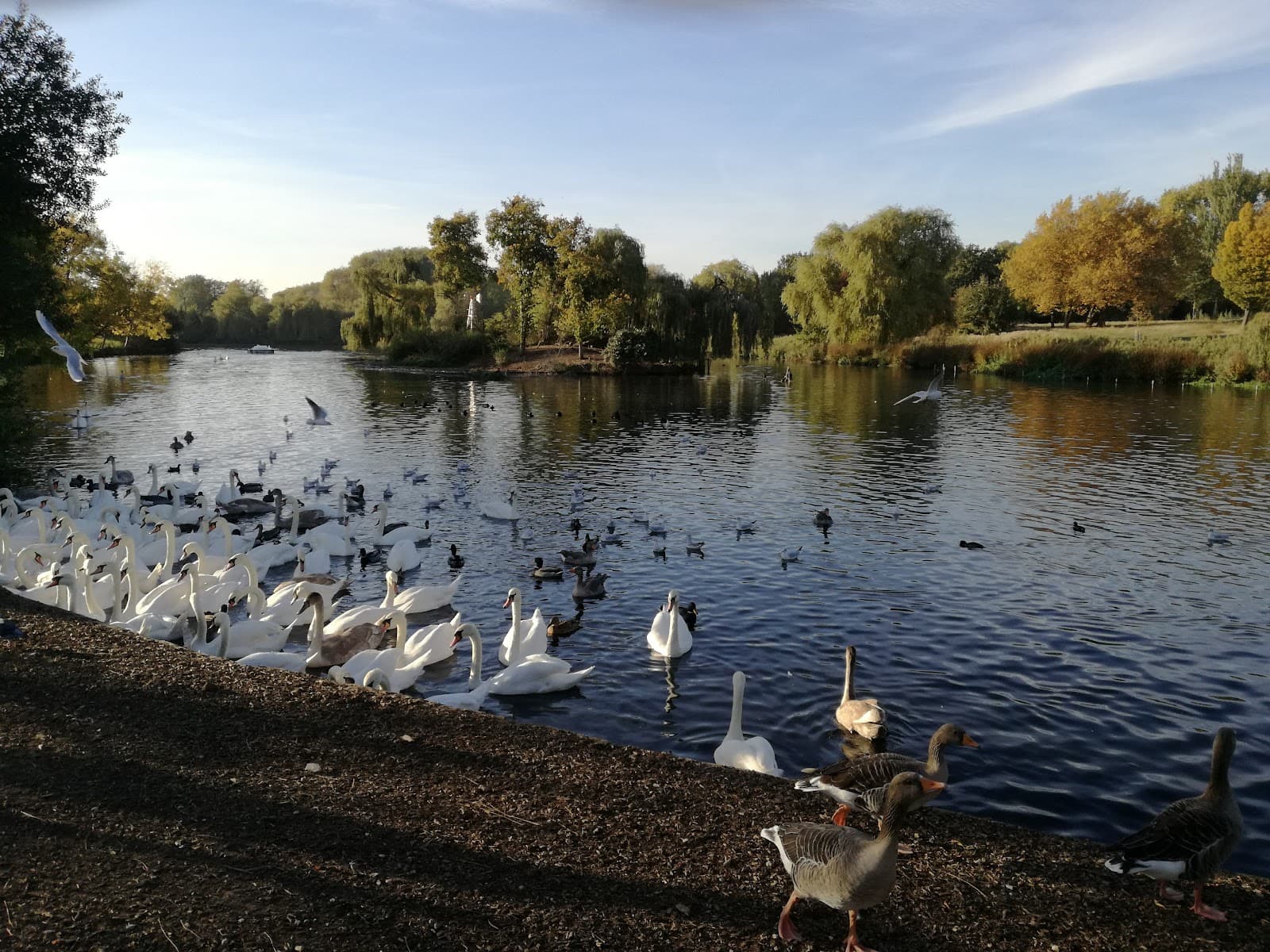 Harrow Lodge Park - Image 1