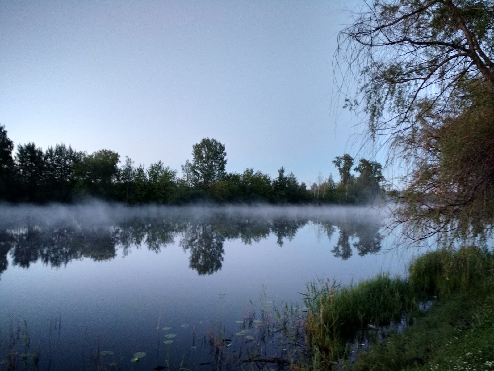 Sormovo Park - Image 1