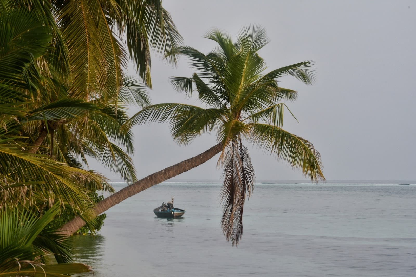 Alifushi Island Raa - Image 1