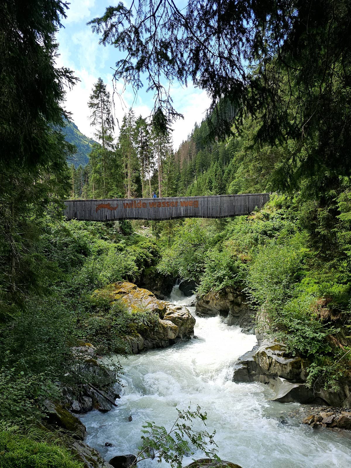 Vertical photo
