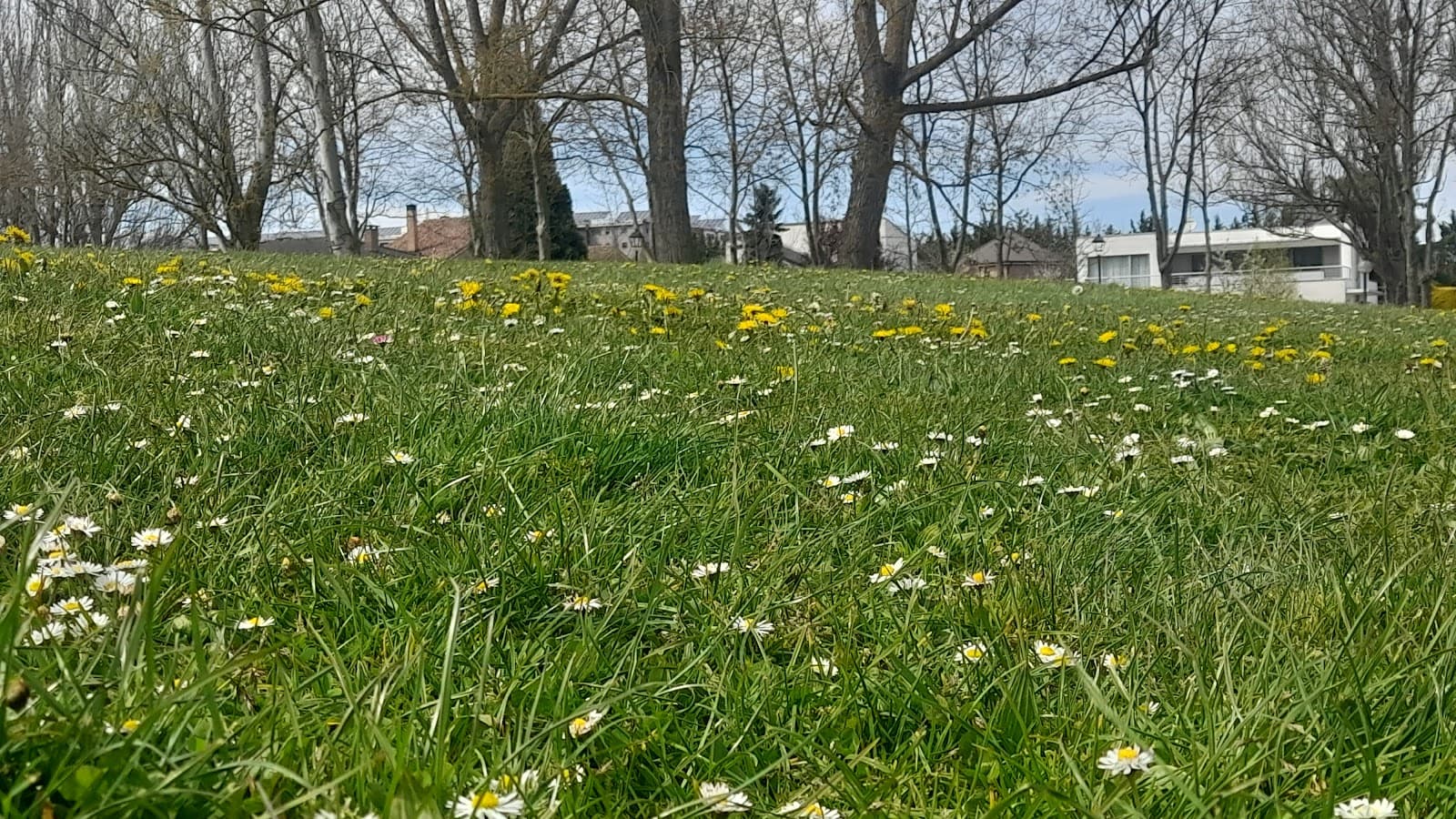 Armentia neighborhood - Image 1
