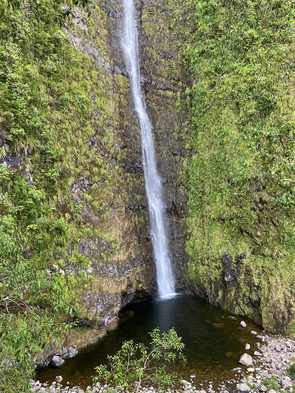 Cascade Biberon - Image 1