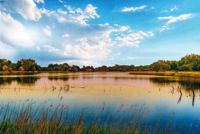 Cotswold Water Park - Image 1