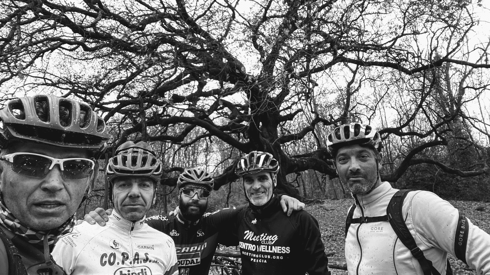 Scenic Tuscan Landscapes