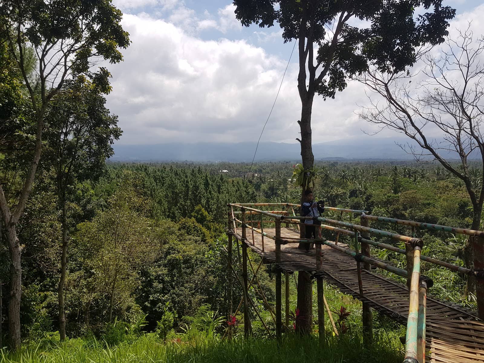 Tranquil Sunset Ambiance