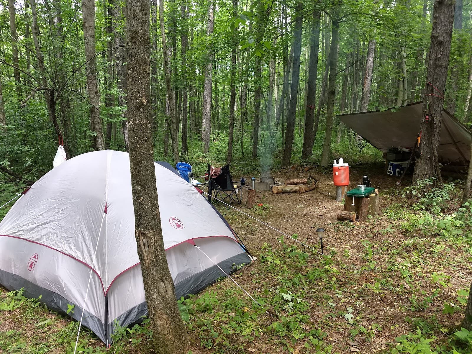 Finger Lakes National Forest - Image 1