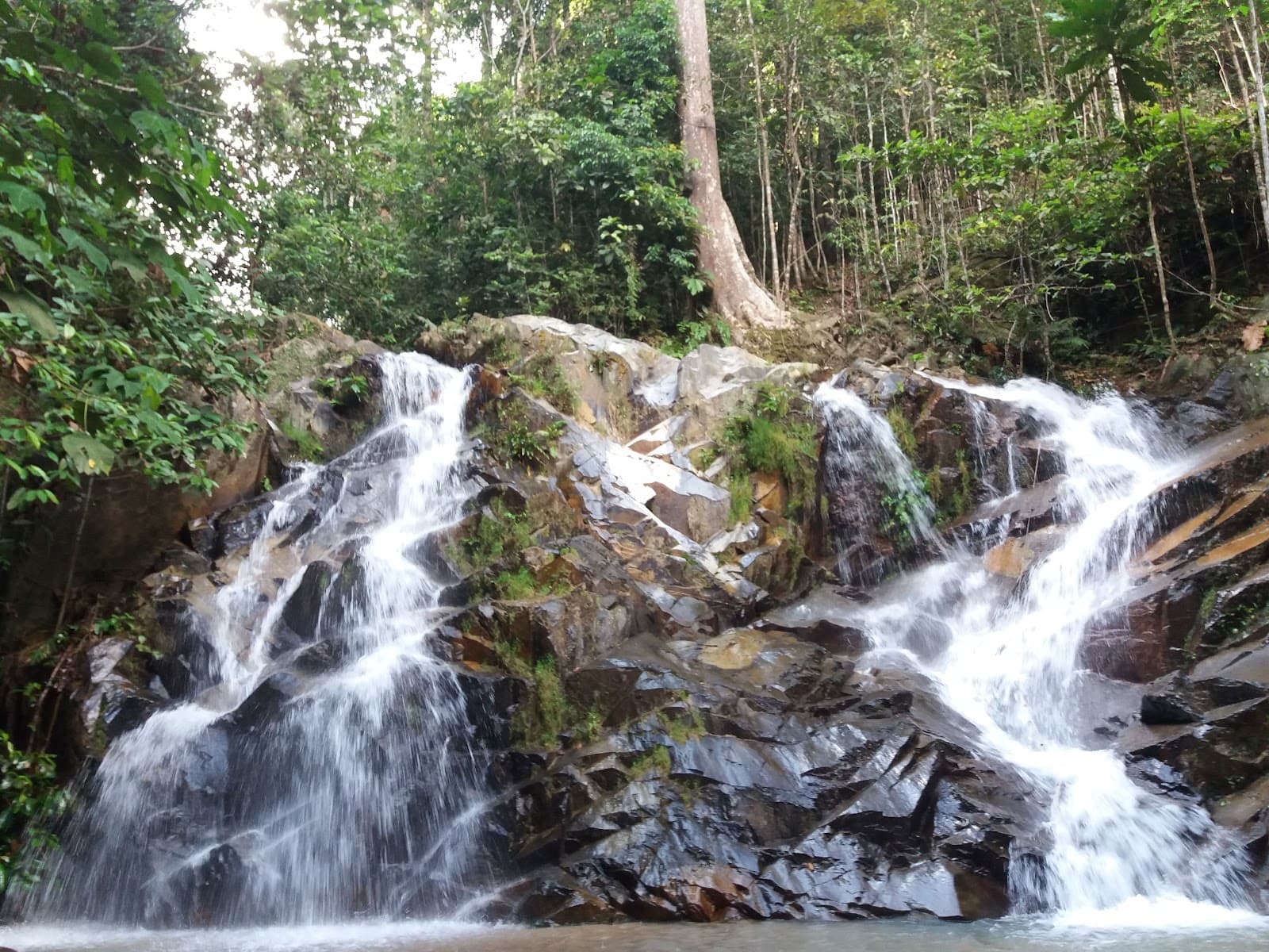 Gunung Pulai Recreational Forest - Image 1