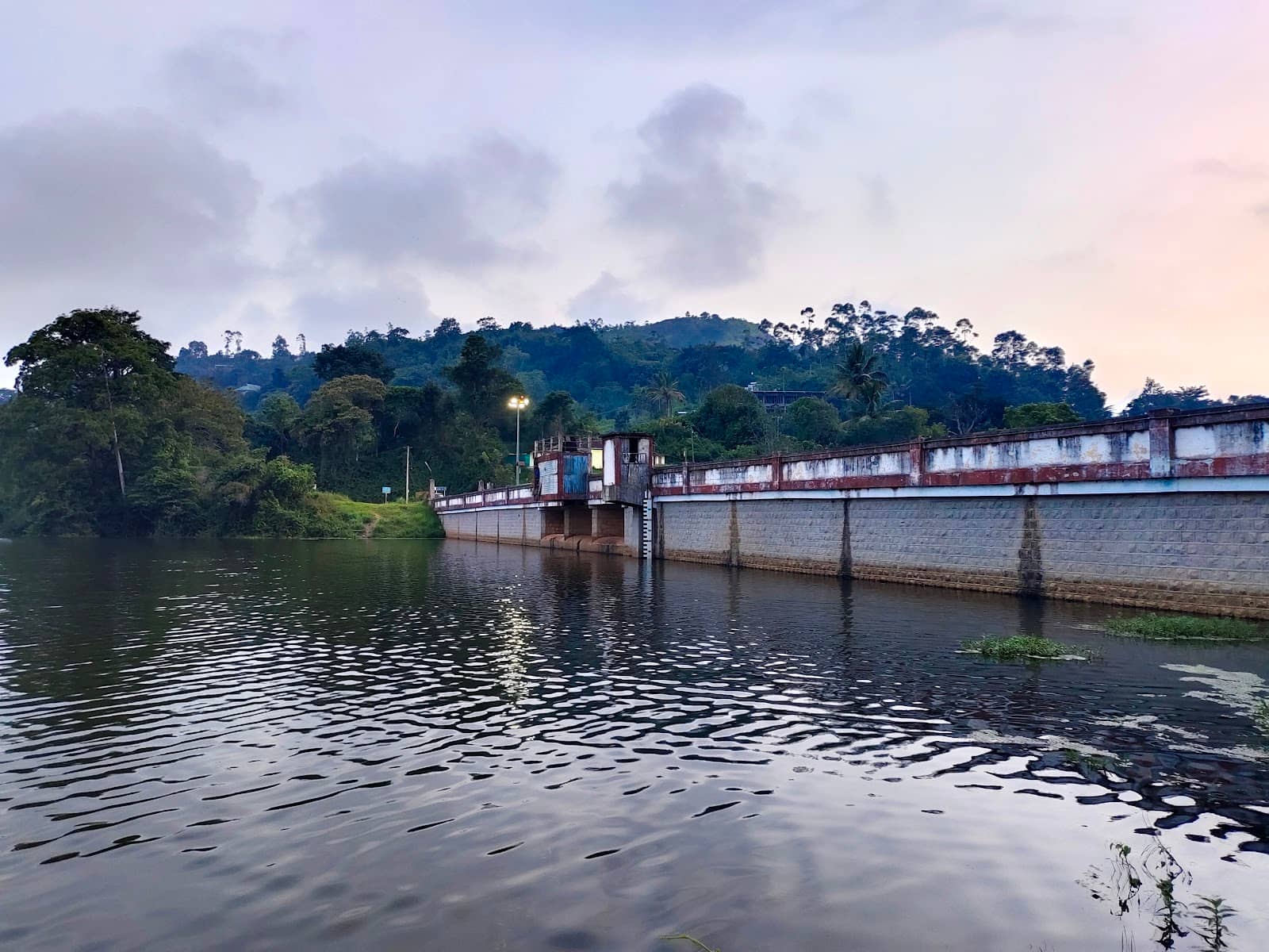Lush Green Surroundings