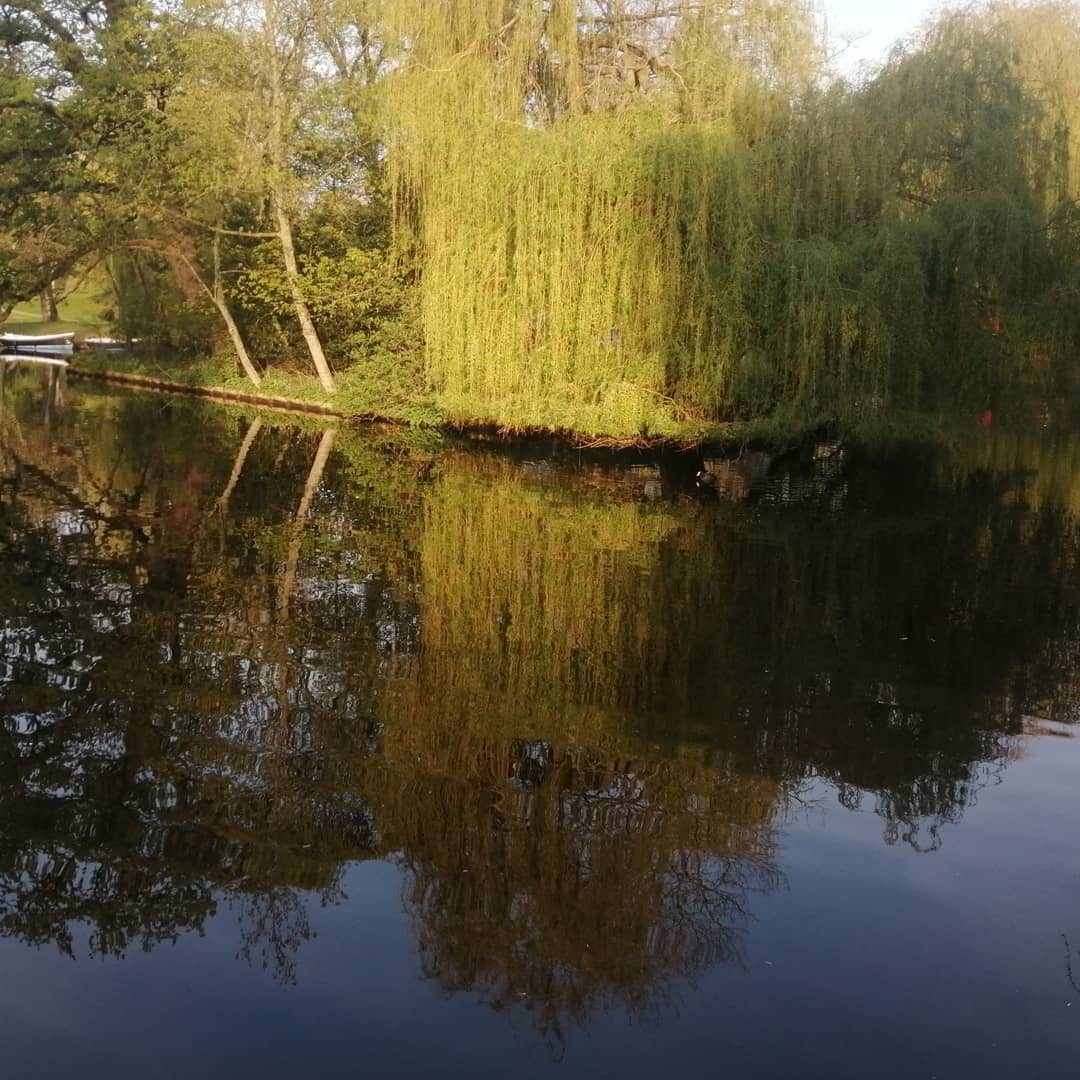 Kleverpark Festival