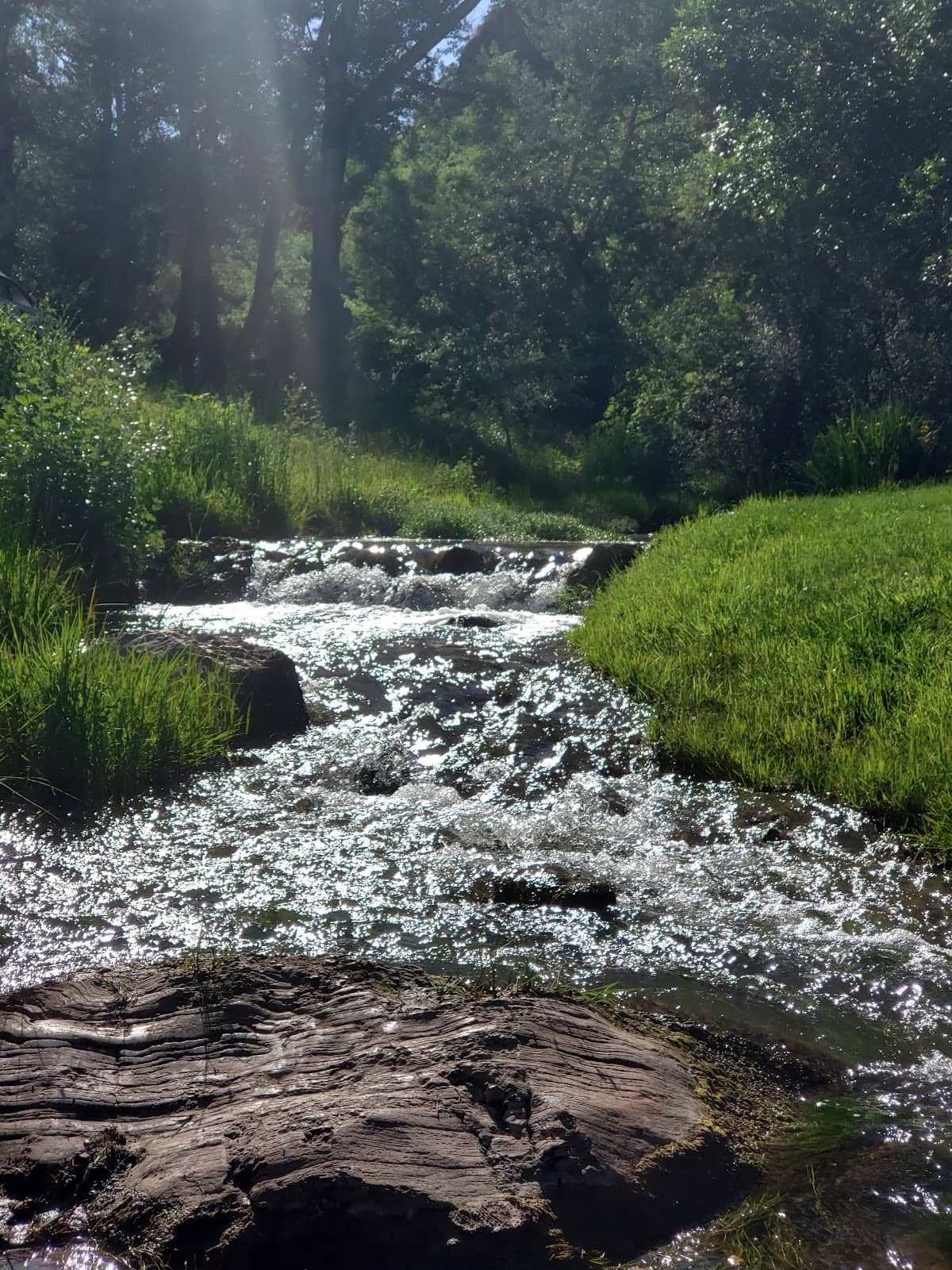 Chautauqua Park Lawn