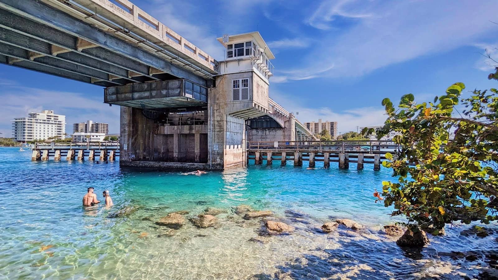 Bridge Jumping Thrills