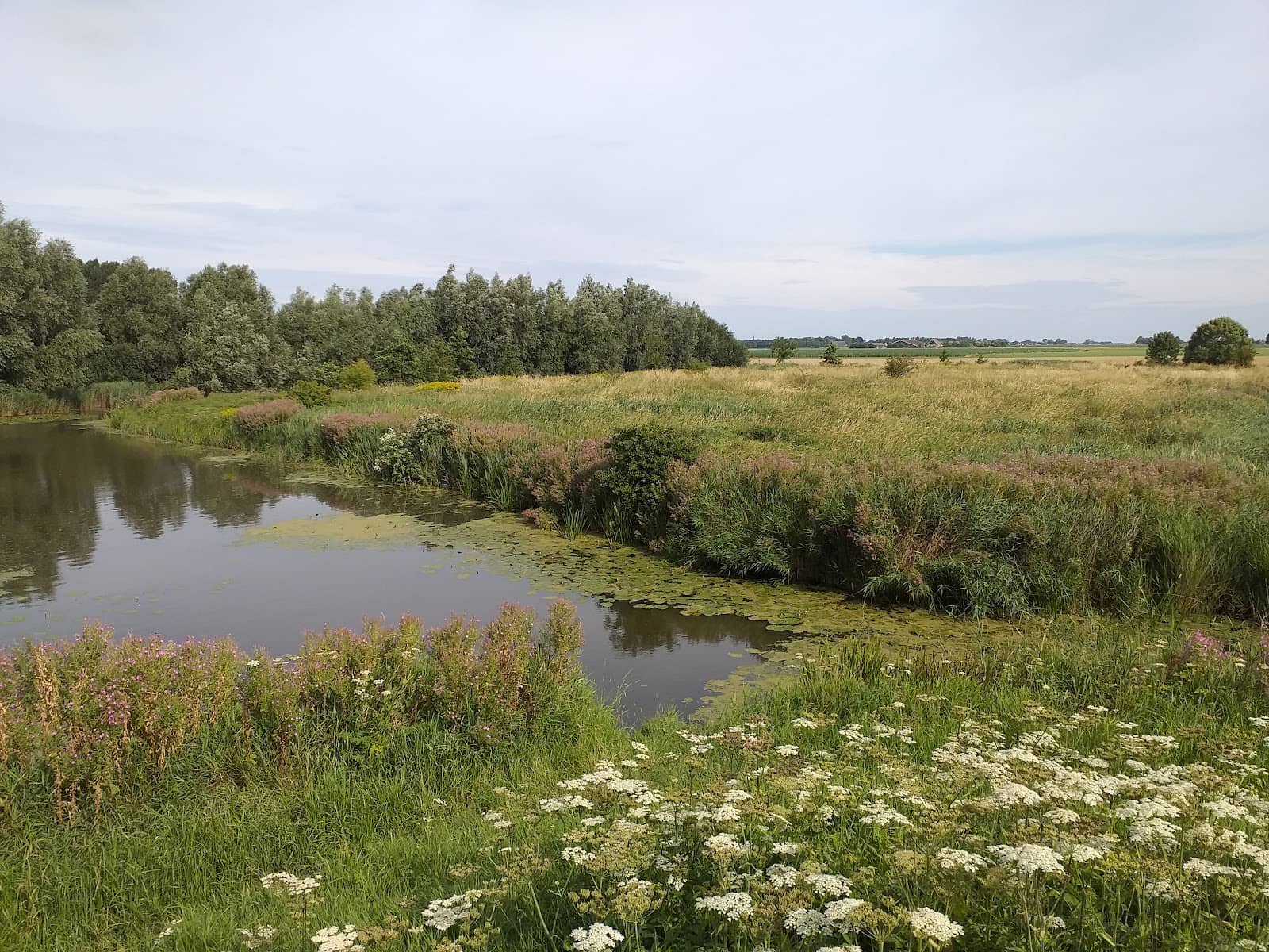 Extensive Walking Trails