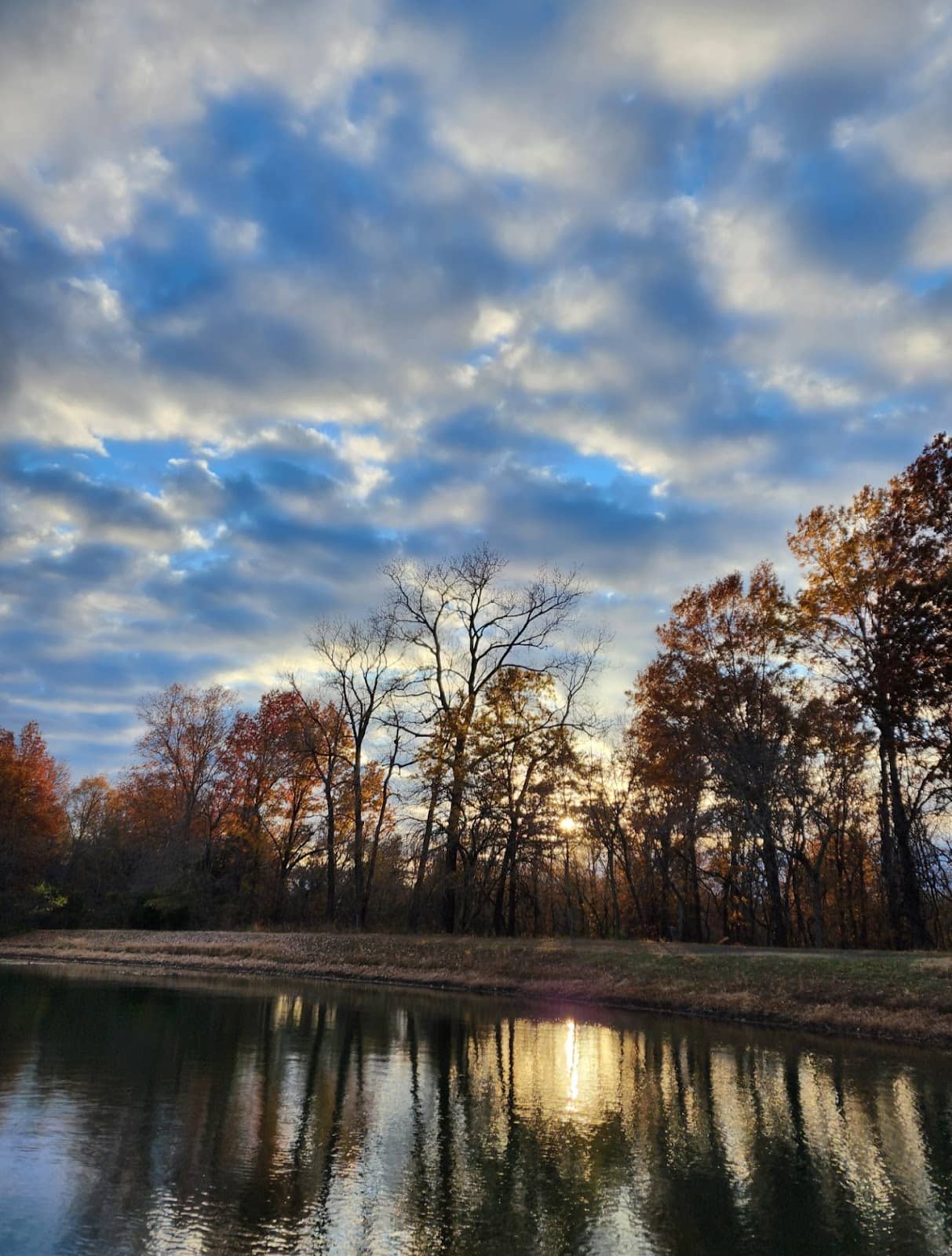 Nature's Beauty