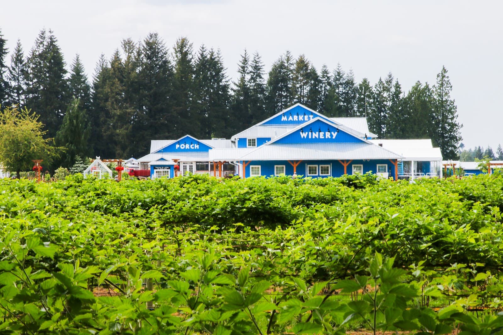 Krause Berry Farms & Estate Winery - Image 1