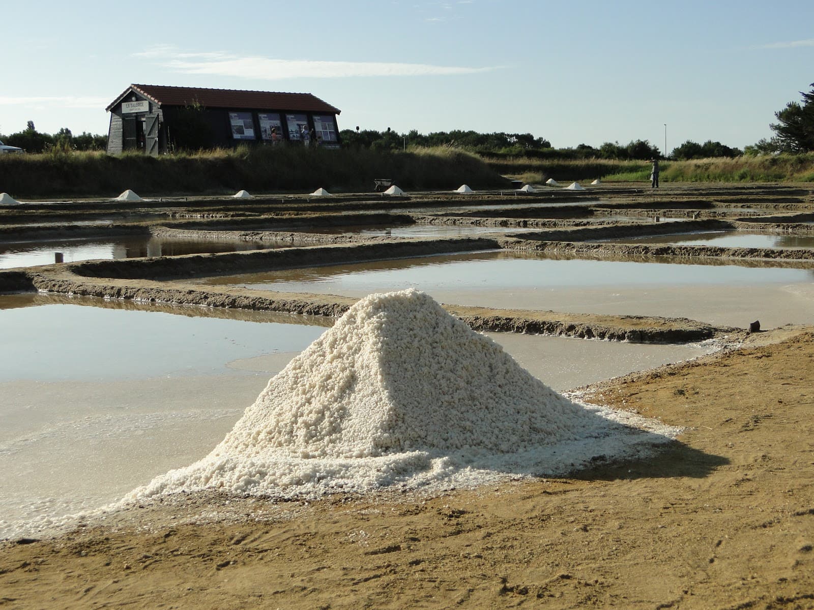 Port des Salines - Image 1