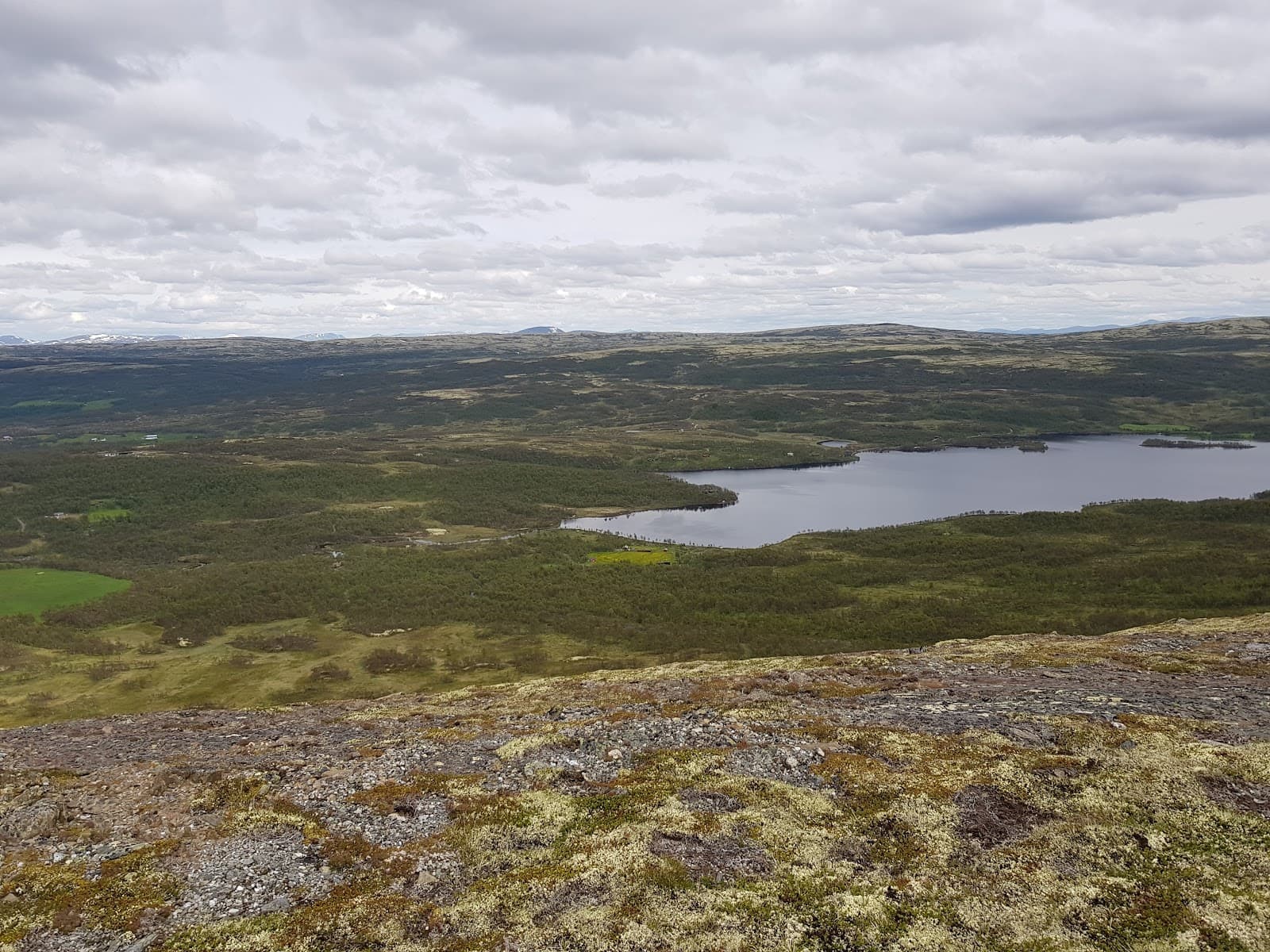 Forollhogna National Park - Image 1