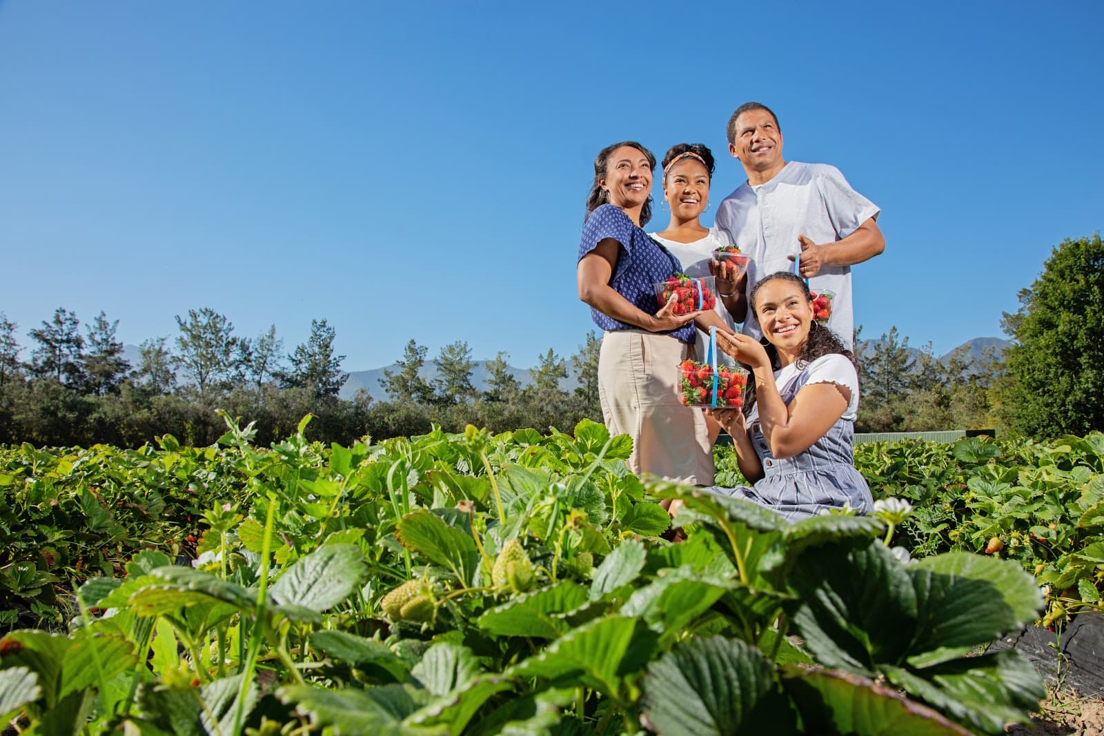 Redberry Farm - Image 1