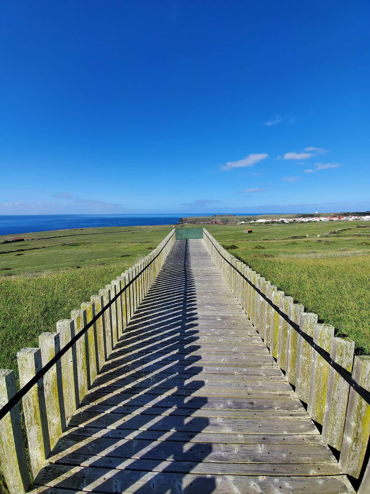 Scenic Hiking Trails